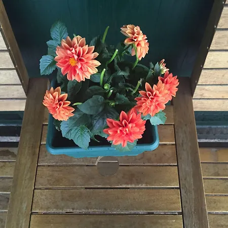 Airport Стамбул