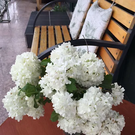 Airport Отель Стамбул