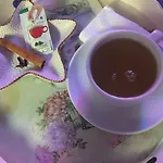 Airport 酒店 伊斯坦布尔