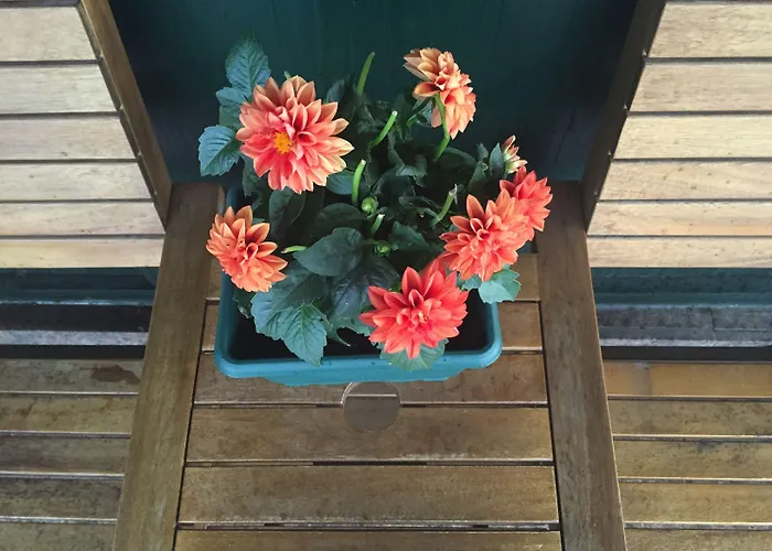 Airport 이스탄불