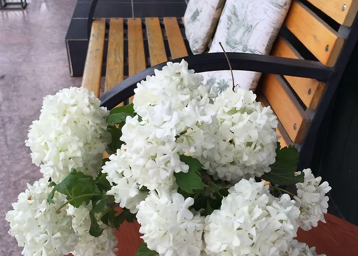 Airport 호텔 이스탄불